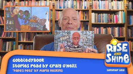 Video thumbnail: Rise and Shine GobbledyBook Papa's Pets