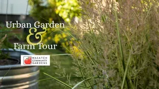 Urban Garden & Farm Tour 2017