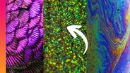 What Makes Birds, Beetles, and Bubbles Shine So Beautifully?