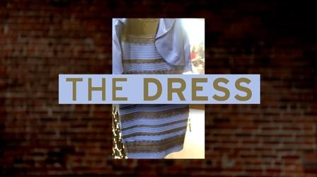 Video thumbnail: NOVA How Your Brain Interprets Color