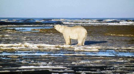 Video thumbnail: Earth Focus Alaskan Communities Divided Over Oil Drilling