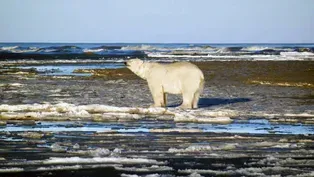 Alaskan Communities Divided Over Oil Drilling