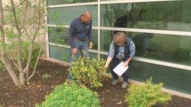Video thumbnail: The Family Plot Lawn Fertilization & Shrub Check-up