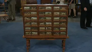 Appraisal: Painted Collector's Cabinet, ca. 1900