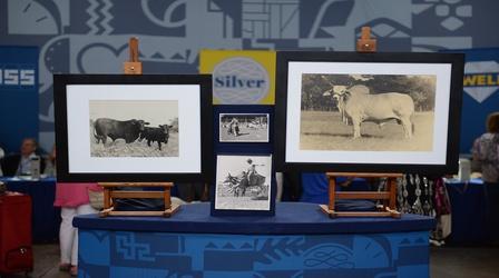 Video thumbnail: Antiques Roadshow Appraisal: John Stryker Bull Photographs, ca. 1945
