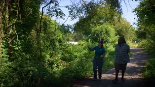 Appomattox River Conservation