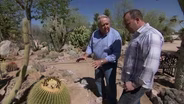 Arizona Cactus Creations