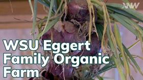 Video thumbnail: xConnect Northwest Learn How An Organic Farm Operates