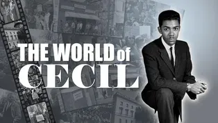 The World of Cecil | Promo