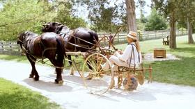 Video thumbnail: Columbus Neighborhoods Driving with Darbee: Slate Run Living Historical Farm