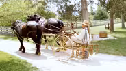 Driving with Darbee: Slate Run Living Historical Farm