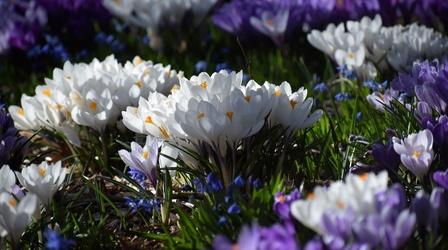 Video thumbnail: Great Gardening Gardeners Rejoice on Earth Day