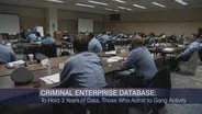Chicago Police Defend Use of ‘Deeply Flawed’ Gang Database