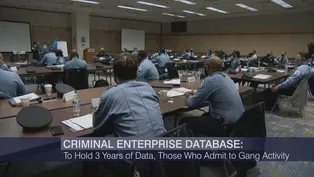Chicago Police Defend Use of ‘Deeply Flawed’ Gang Database