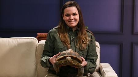 Video thumbnail: Contact Utah’s Hogle Zoo Little Creature Feature