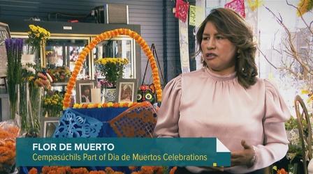 Video thumbnail: Chicago Tonight: Latino Voices Cempasúchils, Flowers Native to Mexico, a Sign of the Season