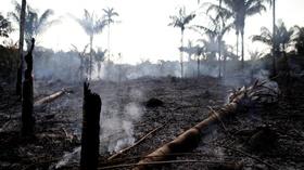 Video thumbnail: PBS NewsHour Pressure mounts for Brazil to counter raging Amazon fires