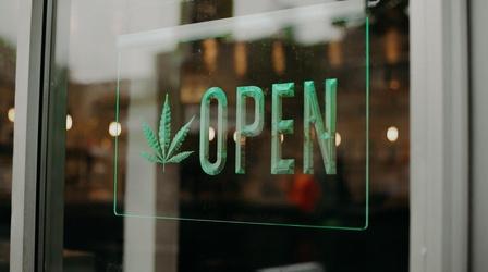 Video thumbnail: Flatland in Focus Preview: Marijuana Beneficiaries
