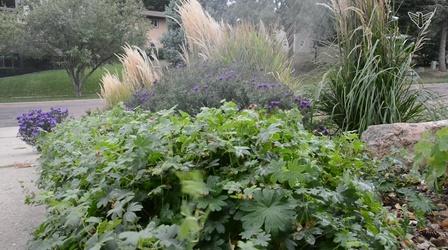 Video thumbnail: South Dakota Home Garden South Dakota Home Garden: Winterizing