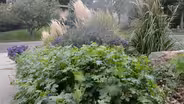 South Dakota Home Garden: Winterizing