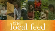 The Local Feed | Season 1 Preview