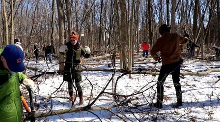 Video thumbnail: Jay's Chicago LaBagh Woods a Haven for Birds and Volunteers