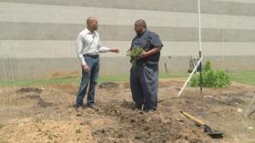 Video thumbnail: The Family Plot Planting Sweet Potatoes & Ergonomic Gardening