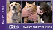 5/7/2026 | Tiffany, Sandy and Colt | Mark's Furry Friends