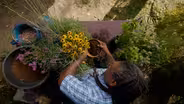 Native Container Garden