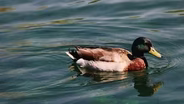 Into Wetland Conservation