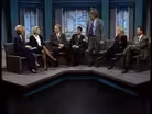 Panel