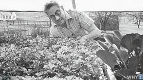 Video thumbnail: Friday Arts Rodale Institute: The Birthplace of Organic Farming