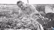 Rodale Institute: The Birthplace of Organic Farming