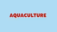 Education through Agriculture: Aquaculture