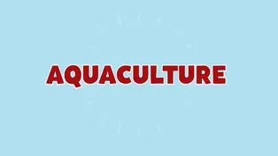 Education through Agriculture: Aquaculture