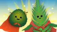 Why Don't These Plants Need Seeds? (Moss and Ferns)