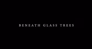 Beneath Glass Trees