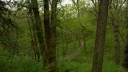 Schramm State Park
