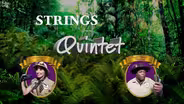Meet the String Quintet!