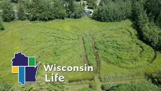 Butterfly Gardens of Wisconsin