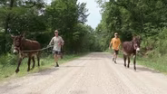 Burro Racing