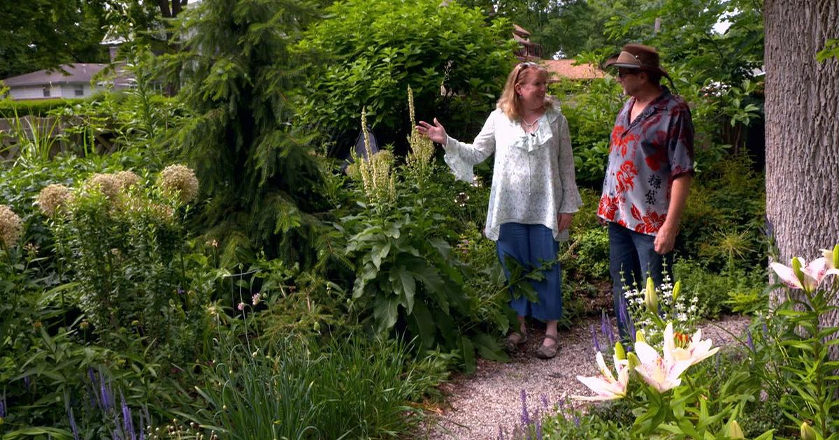 Iowa pbs presents | shady characters | gardening with steil