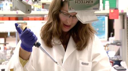 Video thumbnail: UNC-TV Science The links between cancer and obesity