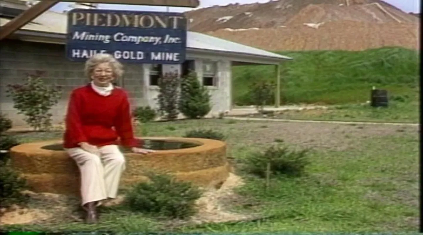 Re-Birth of a Goldmine (1987)