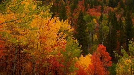 Video thumbnail: Outdoor Idaho Introduction to "The Next Chapter"