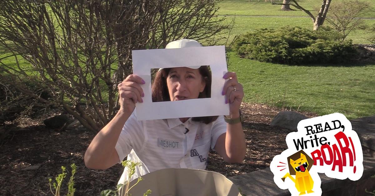 Read, Write, ROAR! | Media Literacy & Camera Shots: Telling Stories ...