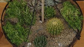 Video thumbnail: Central Texas Gardener San Antonio Garden Conservancy tour 2017