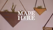 Wildly Urban Sustainable Wall Decor