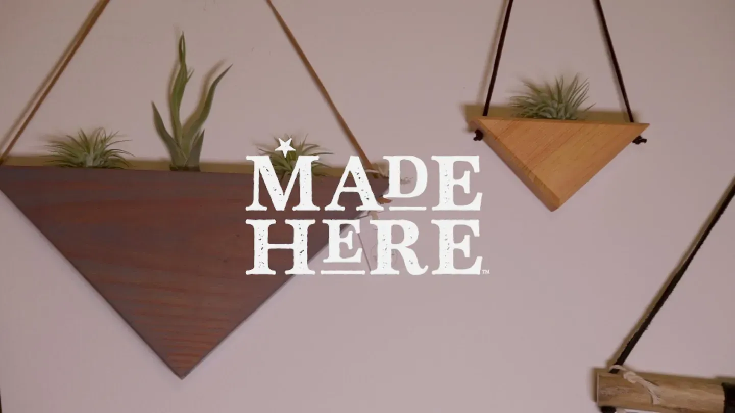 Wildly Urban Sustainable Wall Decor