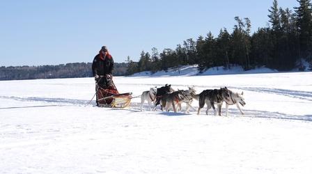 Video thumbnail: Prairie Sportsman Dogs and Mushers